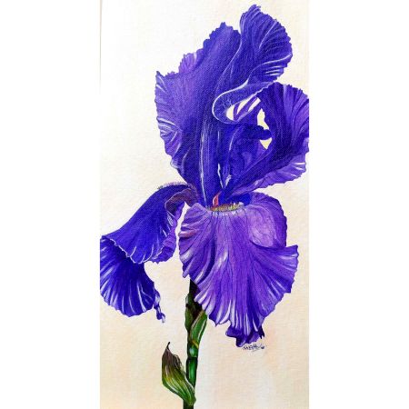 Iris Flower Canvas Painting by Artist Snehaprava Maharana